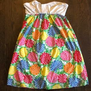 Lilly Pulitzer Dress, Size XL